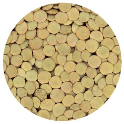 LENTEJA CASTELLANA BOLSA 4/5 Kg.