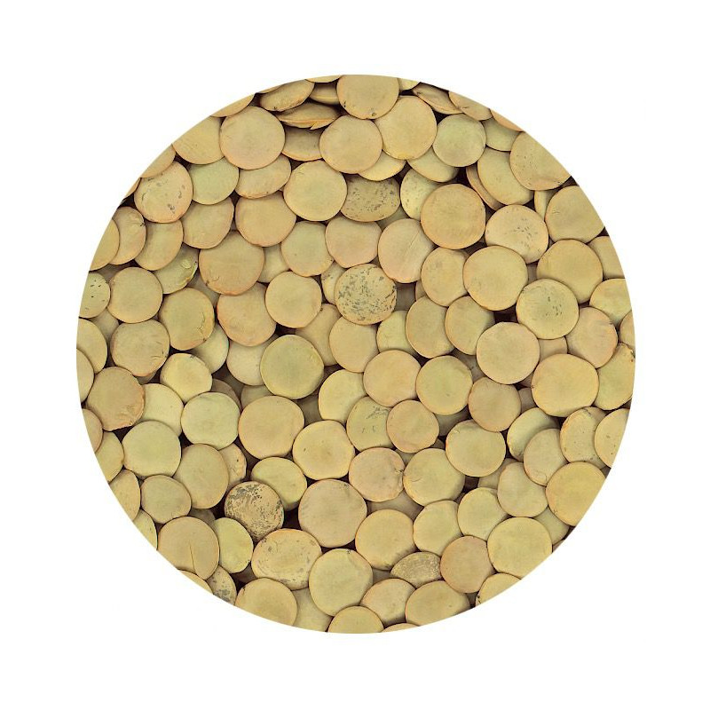 LENTEJA CASTELLANA BOLSA 4/5 Kg.