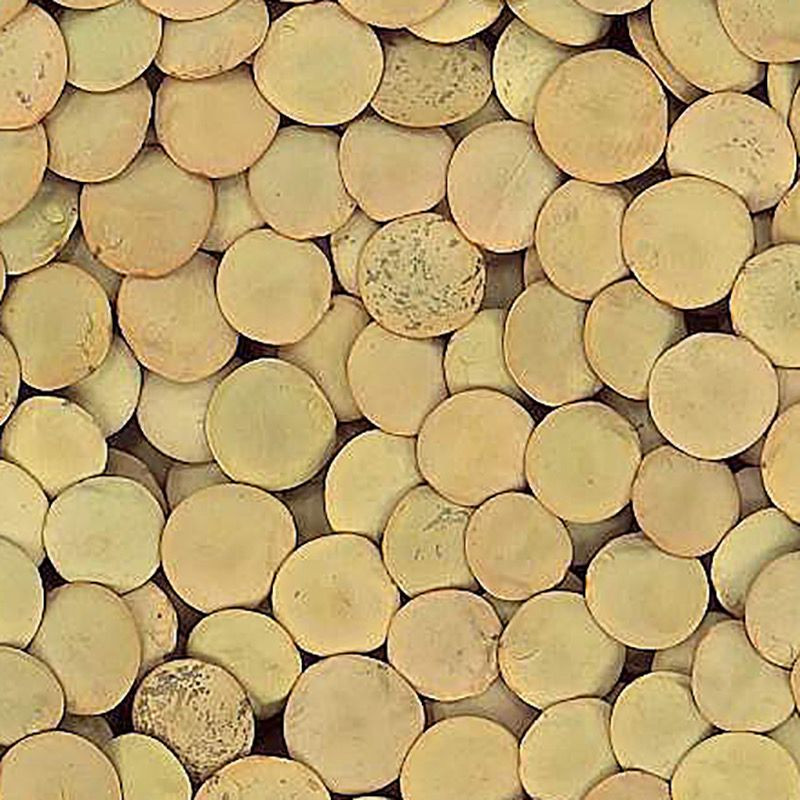 LENTEJA CASTELLANA BOLSA 4/5 Kg.