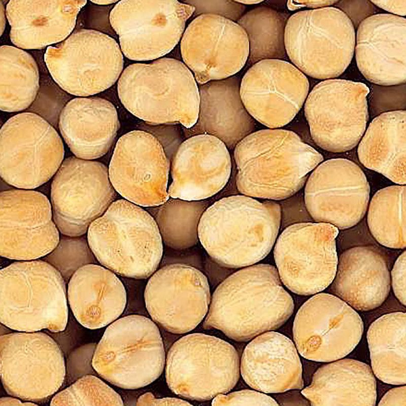 GARBANZO PEDROSILLANO BOLSA 4/5Kg