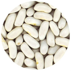 ALUBIA RIÑÓN (CANELLINI) BOLSA 4/5Kg