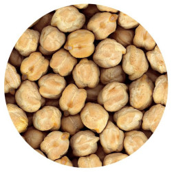 GARBANZO CASTELLANO EXTRA BOLSA 4/5 Kg.