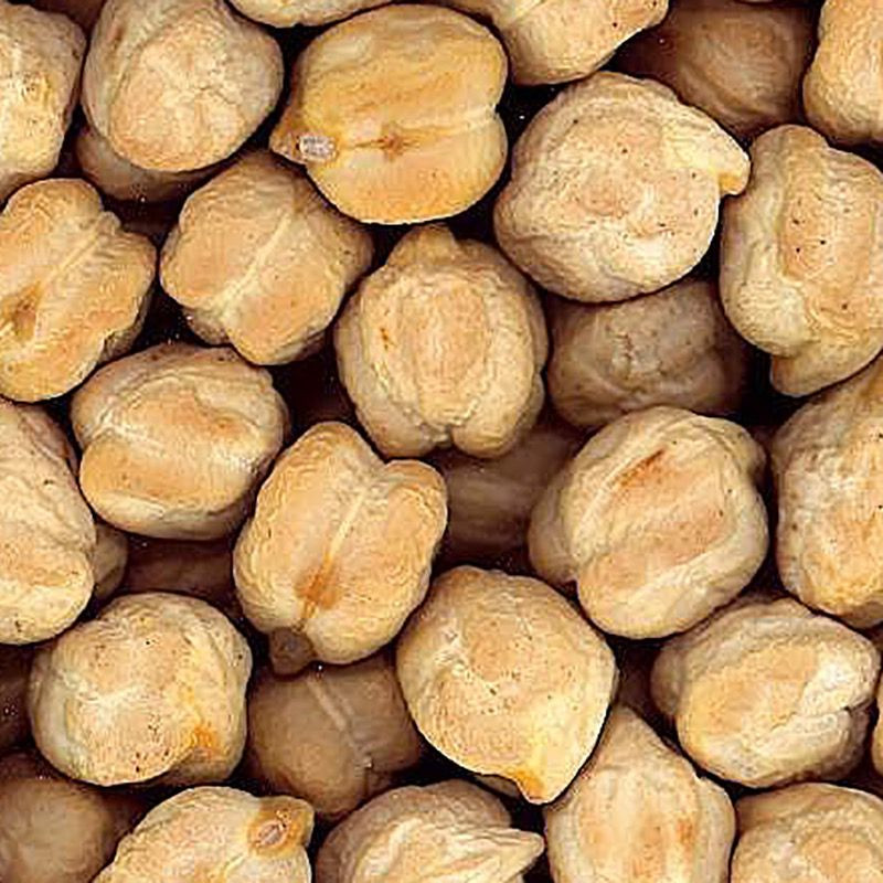 GARBANZO CASTELLANO EXTRA BOLSA 4/5 Kg.