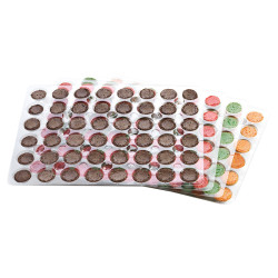 MACARON SURTIDO SPRING (DIS617) 1/384un.