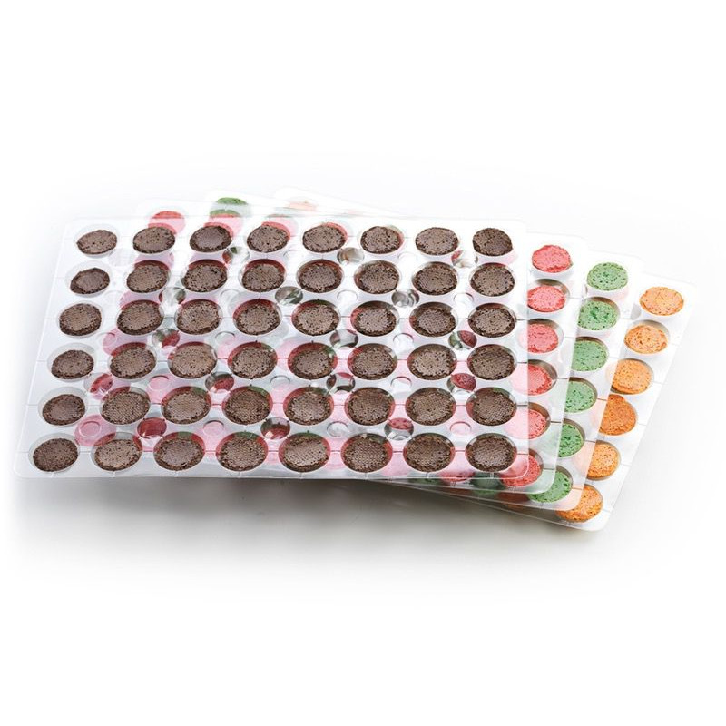 MACARON SURTIDO SPRING (DIS617) 1/384un.