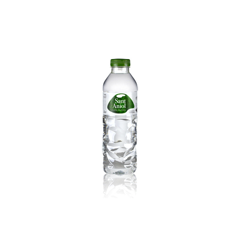 AGUA MINERAL NATURAL PET 42/330ml