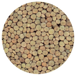 LENTEJA PARDINA BOLSA 4/5 Kg.