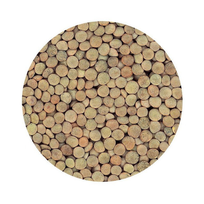 LENTEJA PARDINA BOLSA 4/5 Kg.