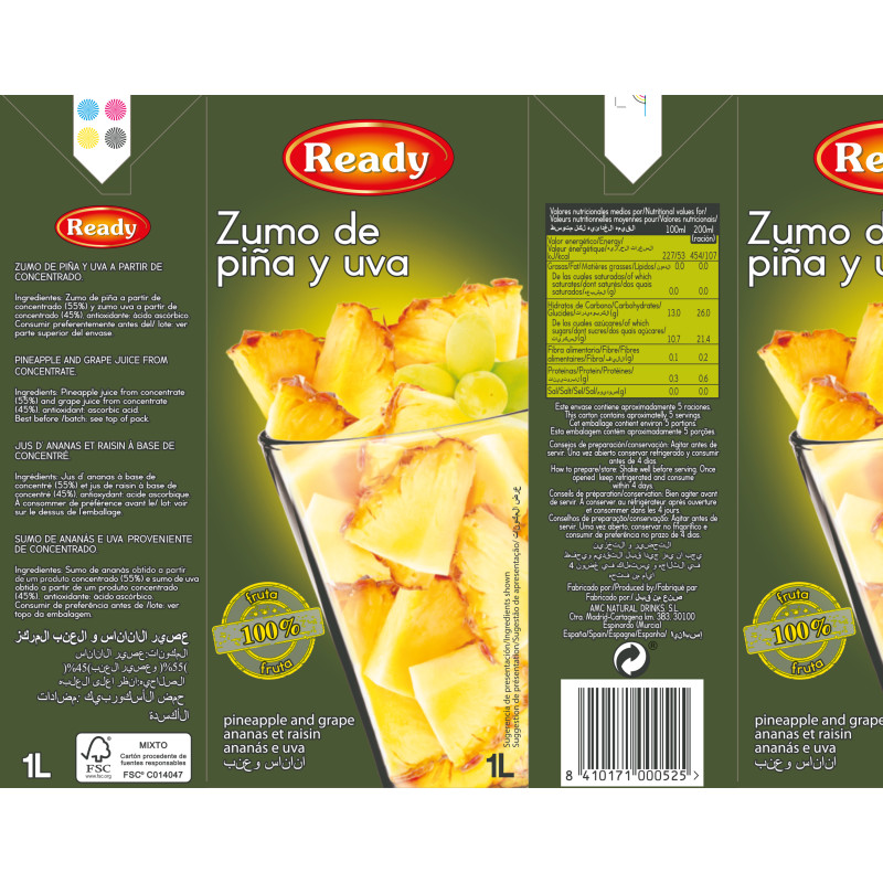 NÉCTAR DE PIÑA SLIM 12/1l.