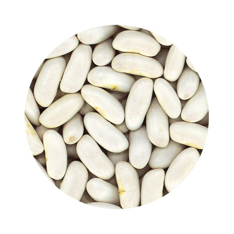 ALUBIA RIÑÓN (CANELLINI) BOLSA 4/5Kg