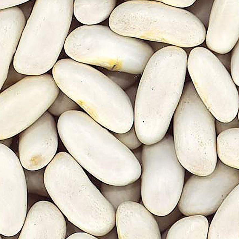 ALUBIA RIÑÓN (CANELLINI) BOLSA 4/5Kg