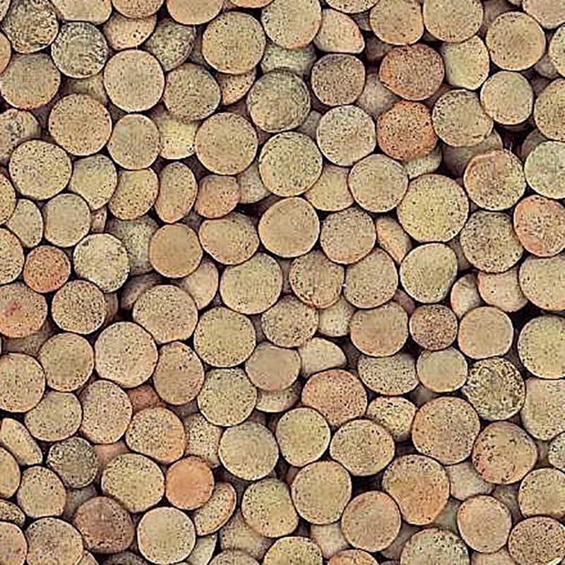 LENTEJA PARDINA BOLSA 4/5 Kg.