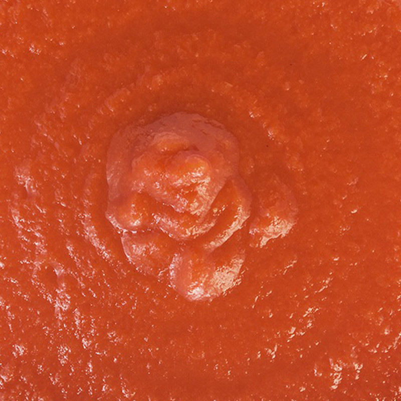 TOMATE TRITURADO (PASSATA) TARRO 12/400gr
