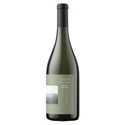 VINO BLANCO PEDRAS LÍQUIDAS (GODELLO) D.O. RIBERA SACRA