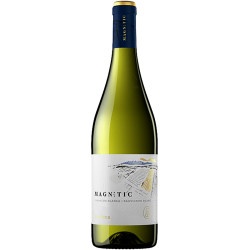 VINO BLANCO MAGNETIC 2024