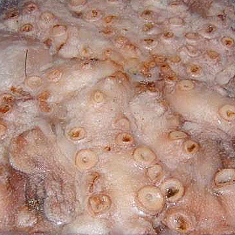 PULPO CRUDO T-00 4-6Kg