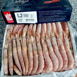 GAMBA ARGENTINA A BORDO N2(20-30)6/2kg