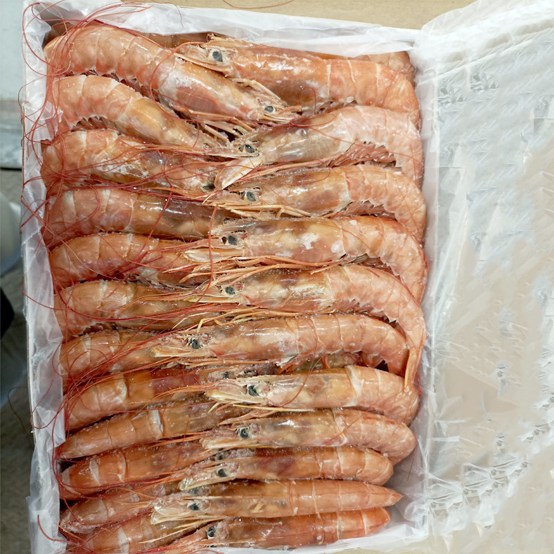GAMBA ARGENTINA A BORDO N2(20-30)6/2kg